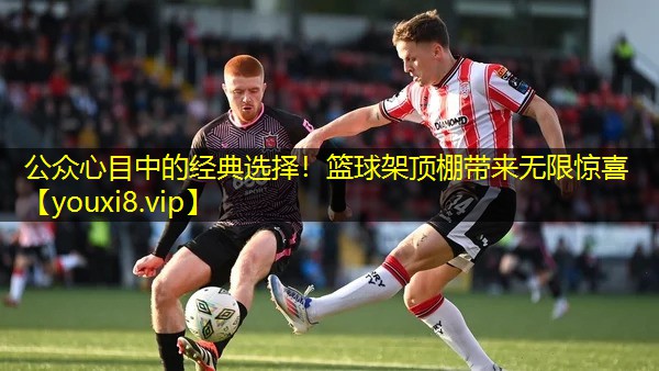 公众心目中的经典选择！篮球架顶棚带来无限惊喜