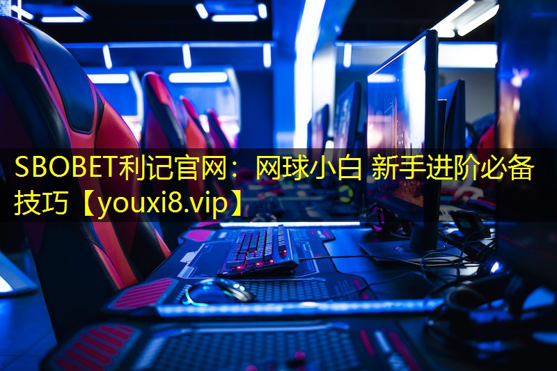 网球小白 新手进阶必备技巧 网球小白 新手进阶必备技巧