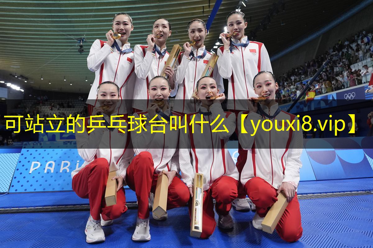 可站立的乒乓球台叫什么