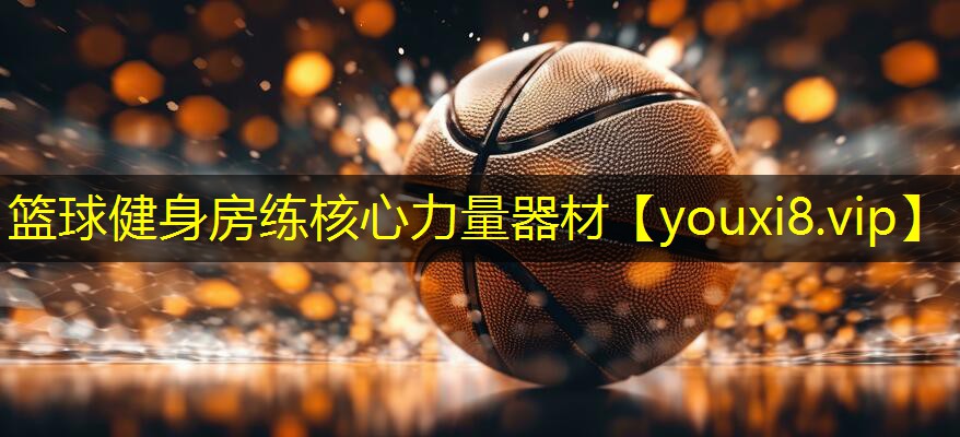 篮球健身房练核心力量器材 篮球健身房练核心力量器材